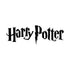 Harry Potter Mini Memory